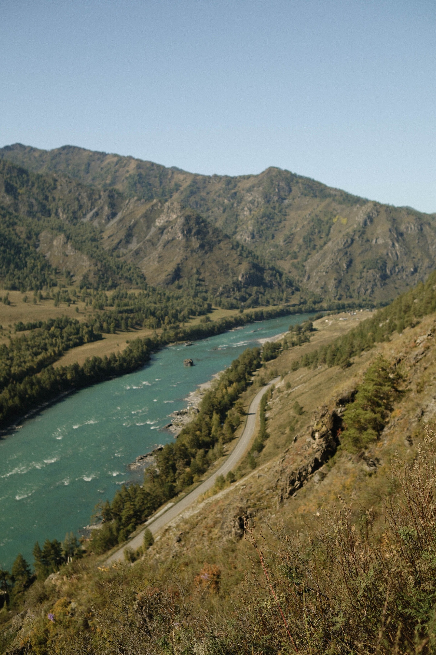 Усадьба Зорькиных - фото 51