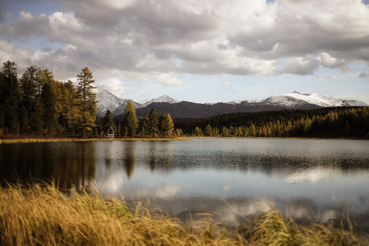 Усадьба Зорькиных - фото 70