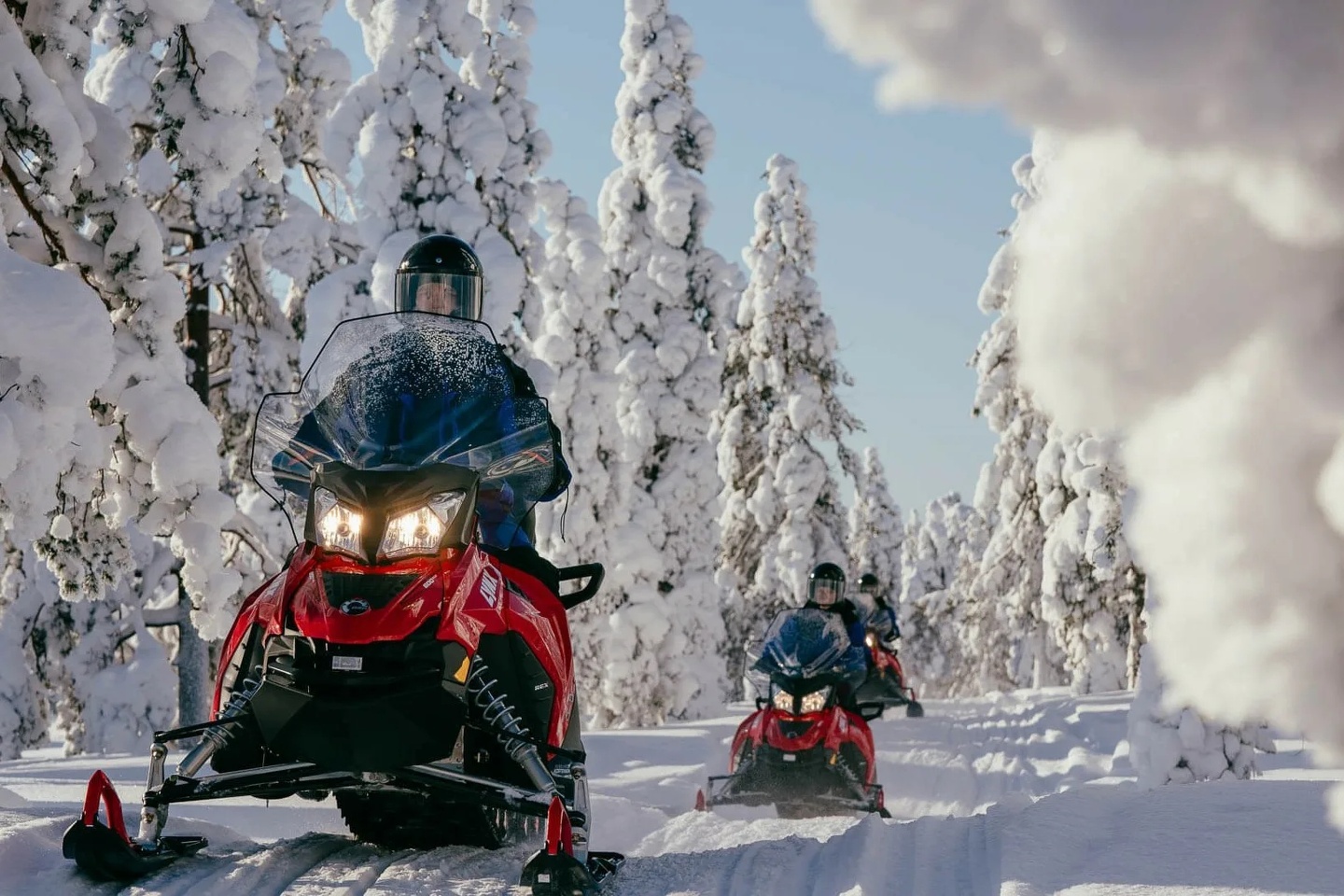 Усадьба Зорькиных - фото 101