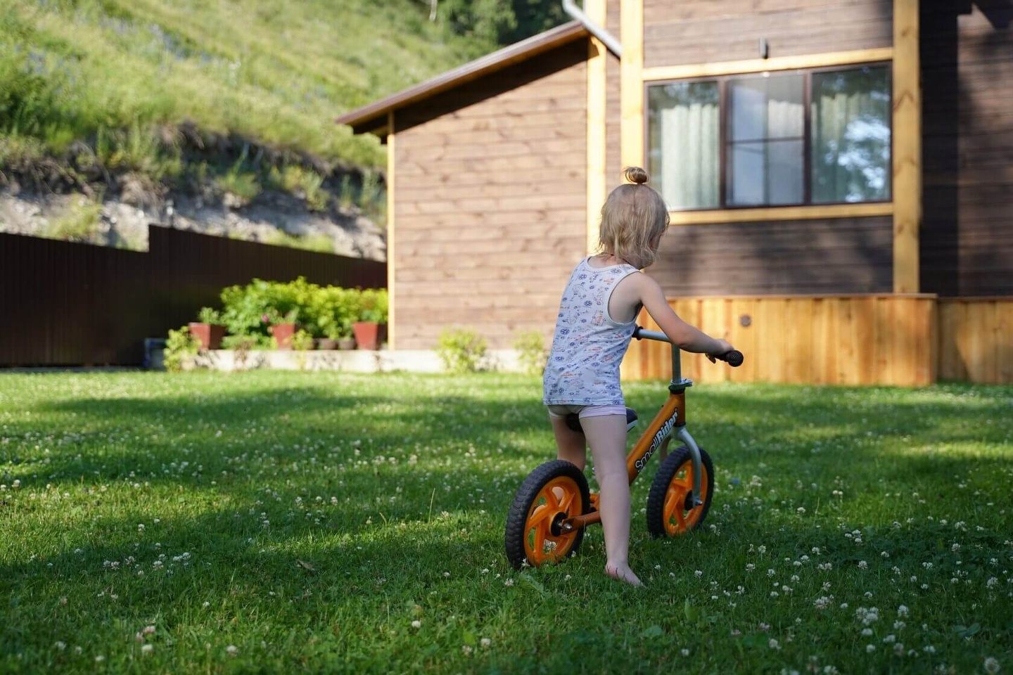 Усадьба Зорькиных - фото 112