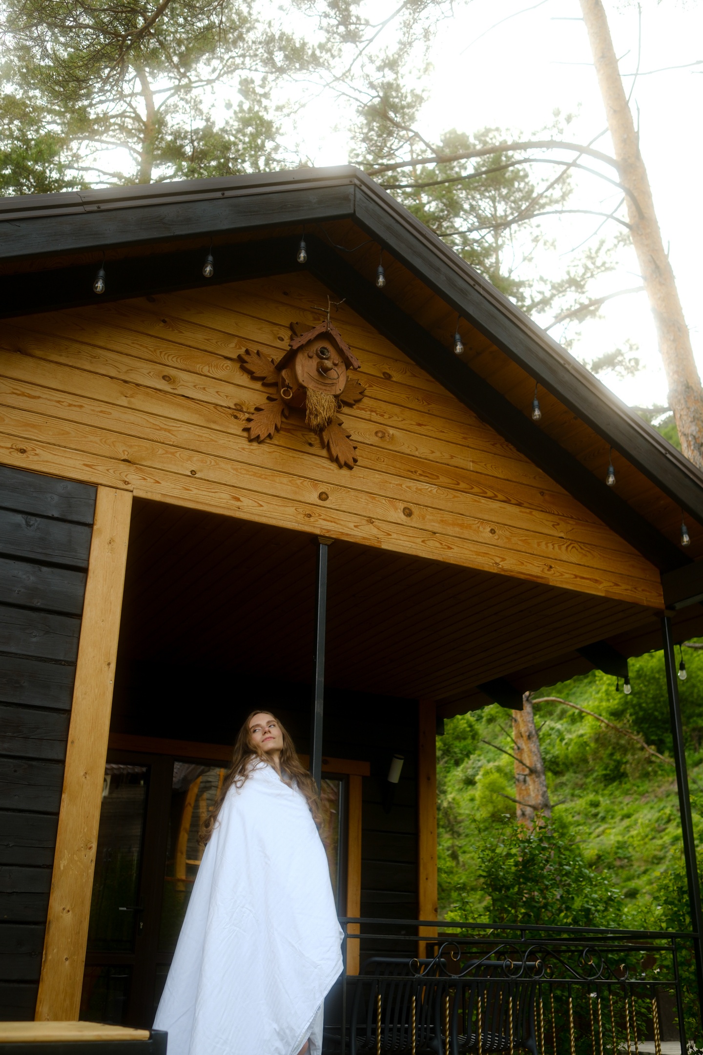 Усадьба Зорькиных - фото 115