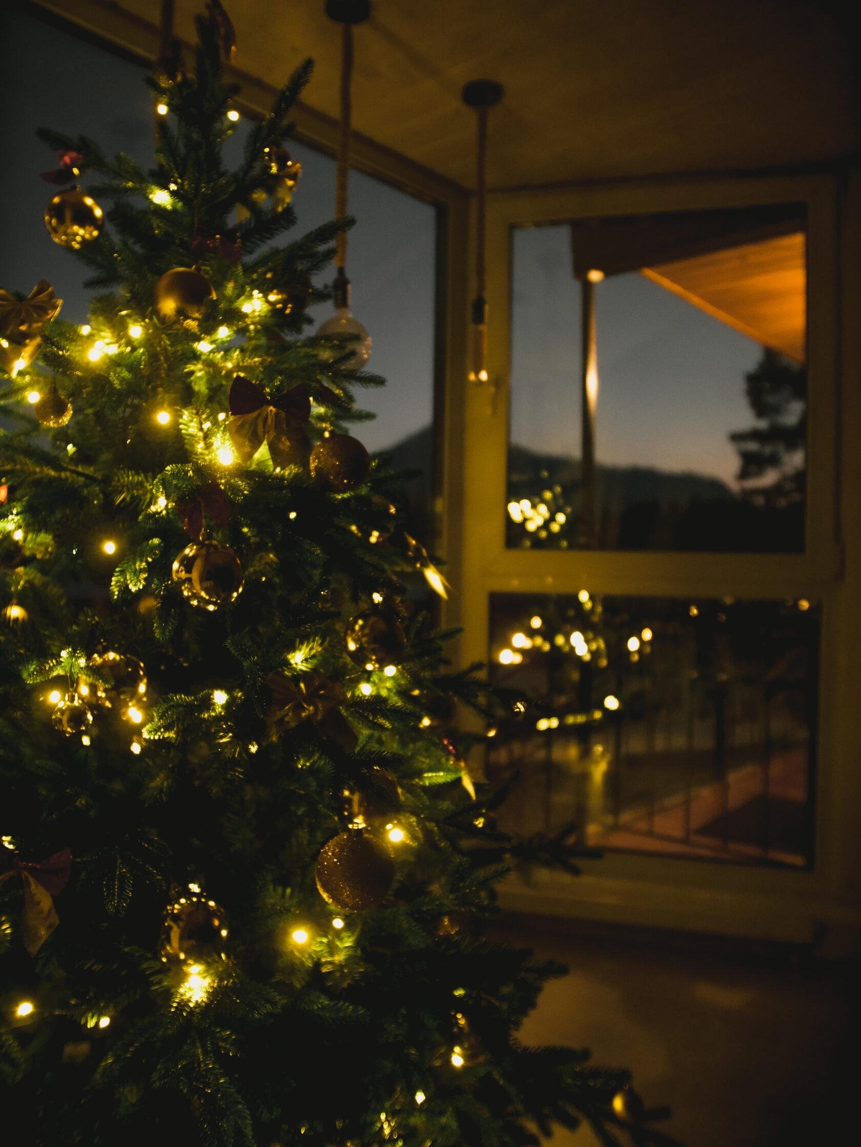 Усадьба Зорькиных - фото 118