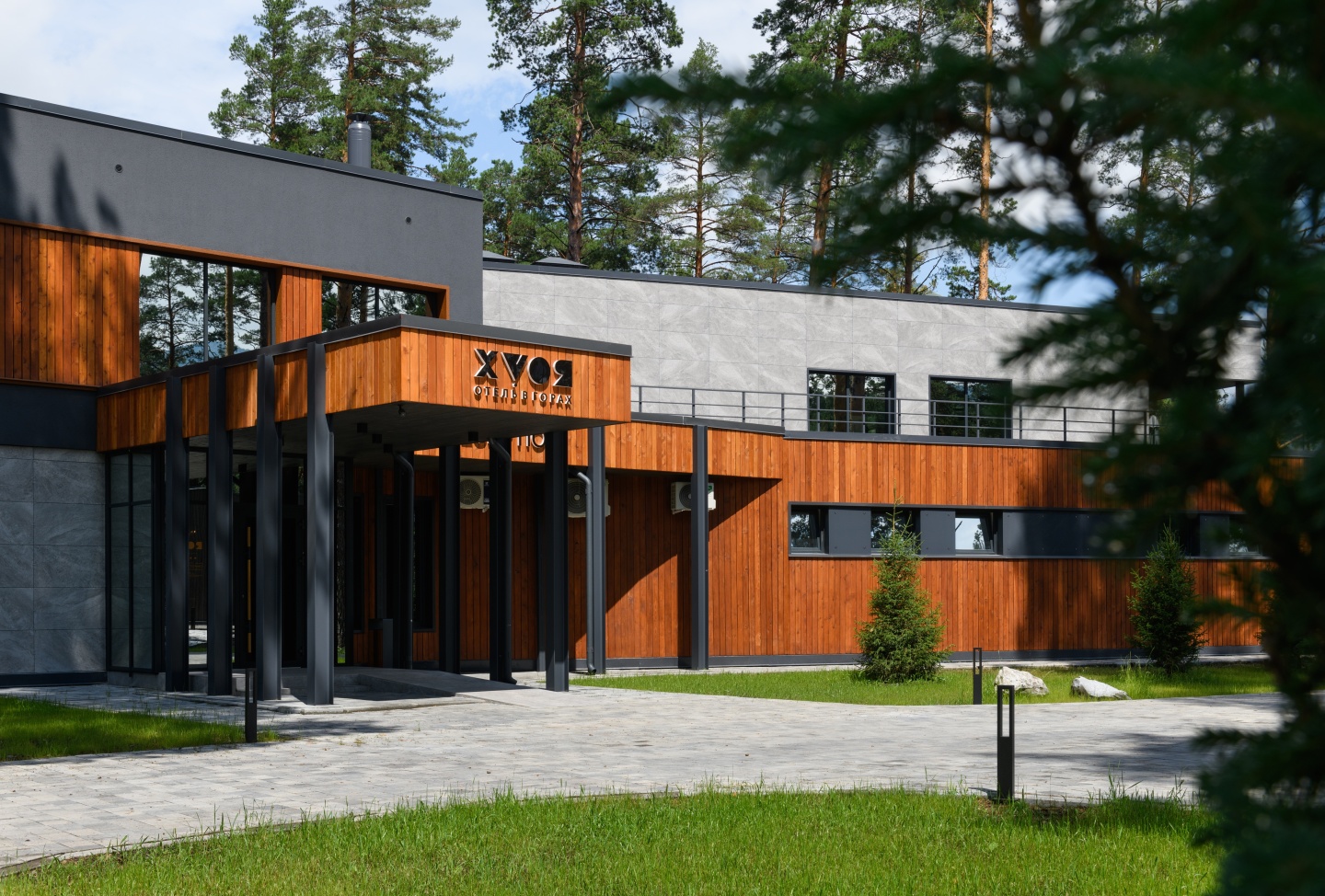 Хвоя в горах - фото 1