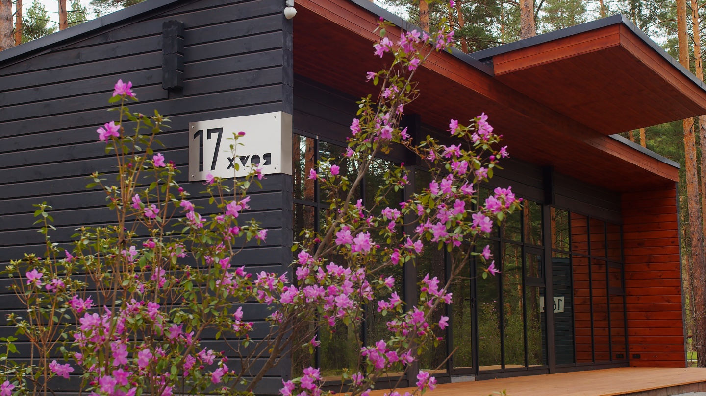 Хвоя в горах - фото 3