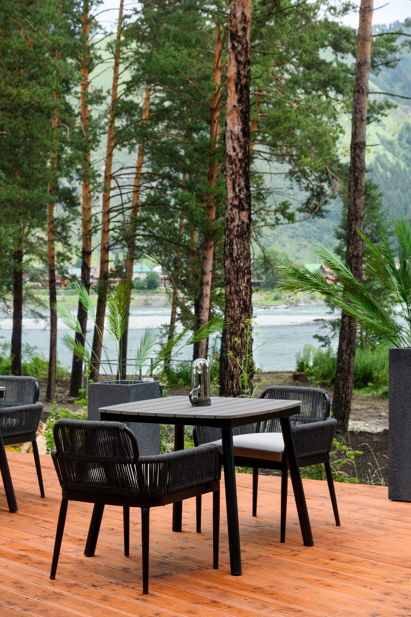 Хвоя в горах - фото 4