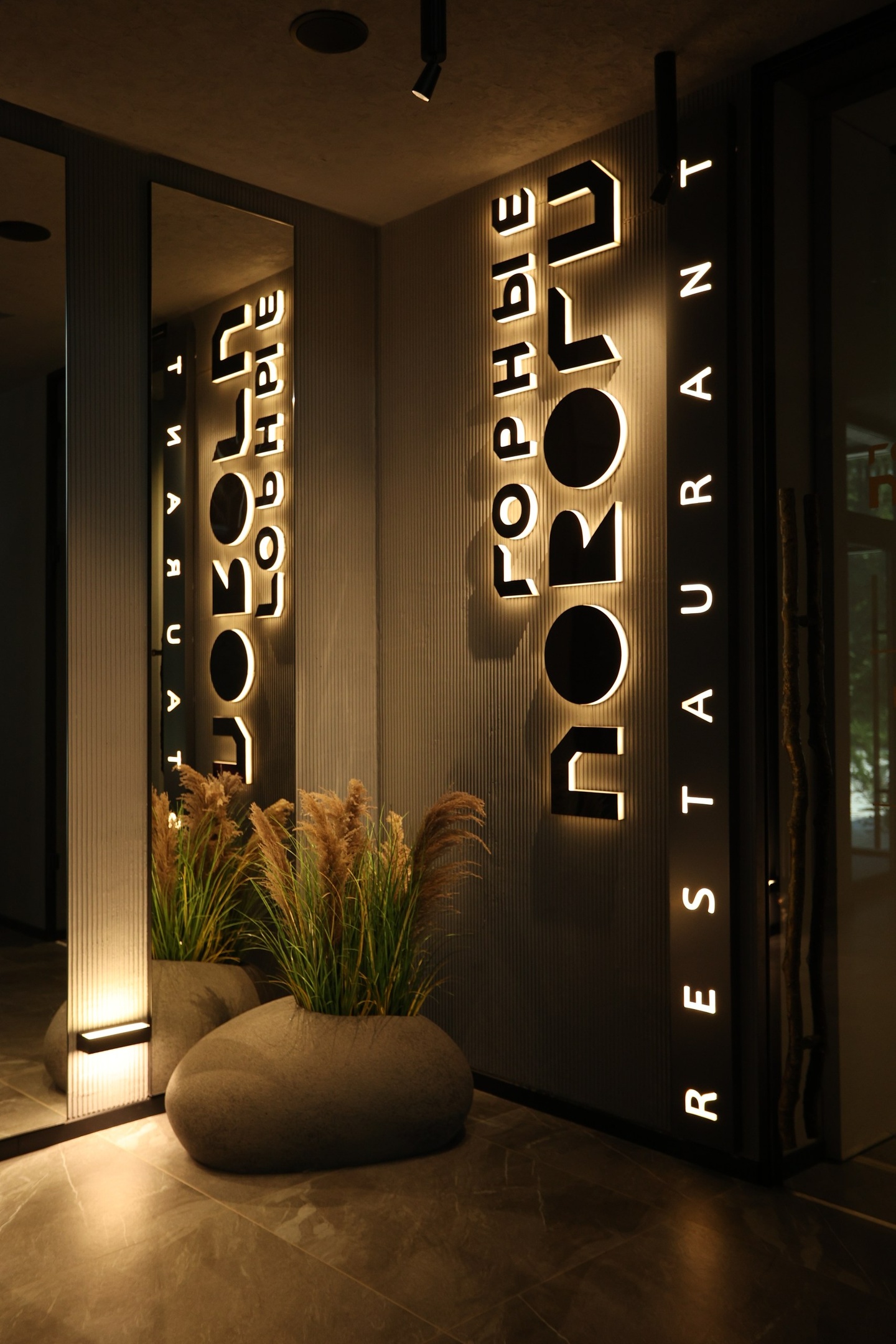 Хвоя в горах - фото 7