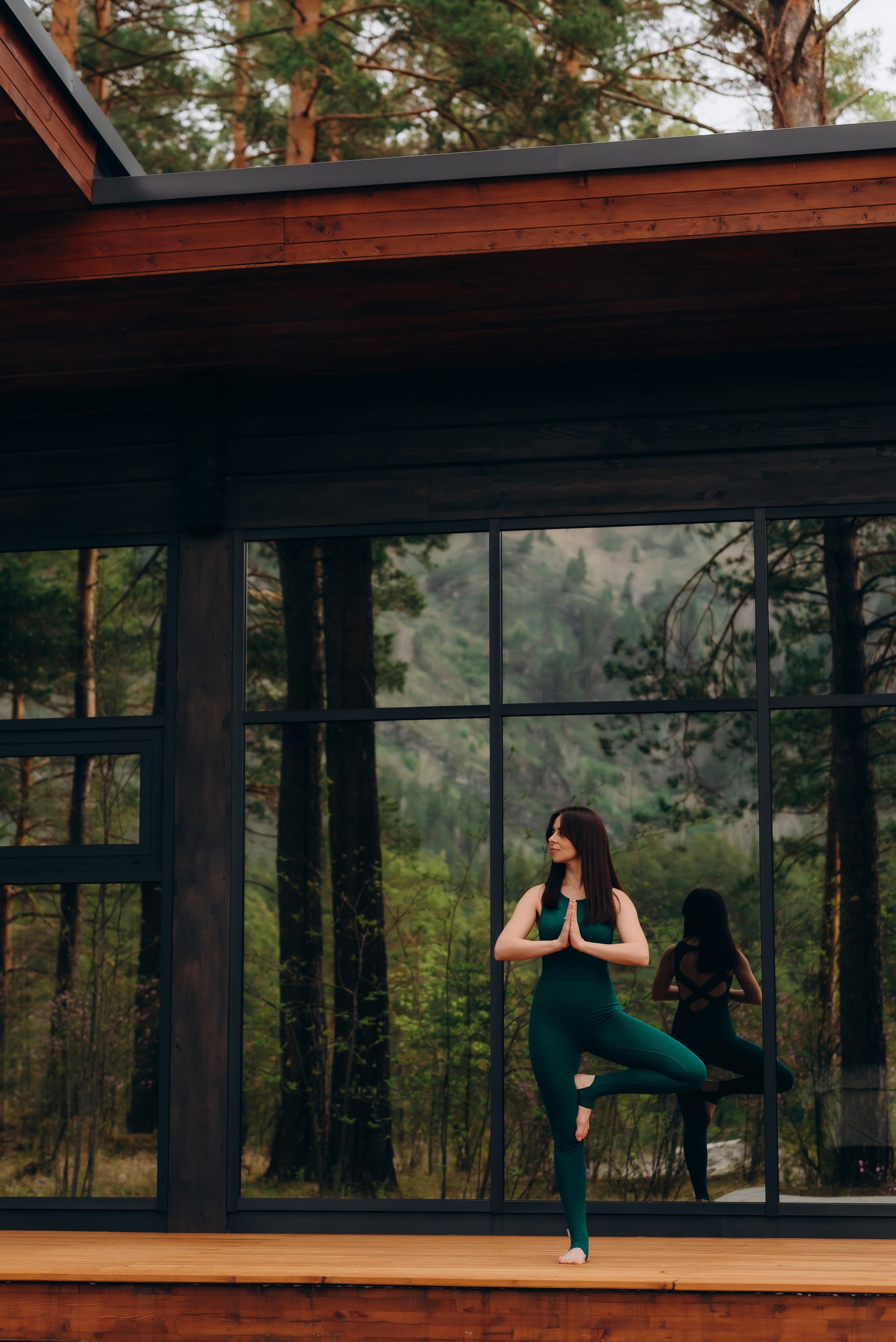 Хвоя в горах - фото 21