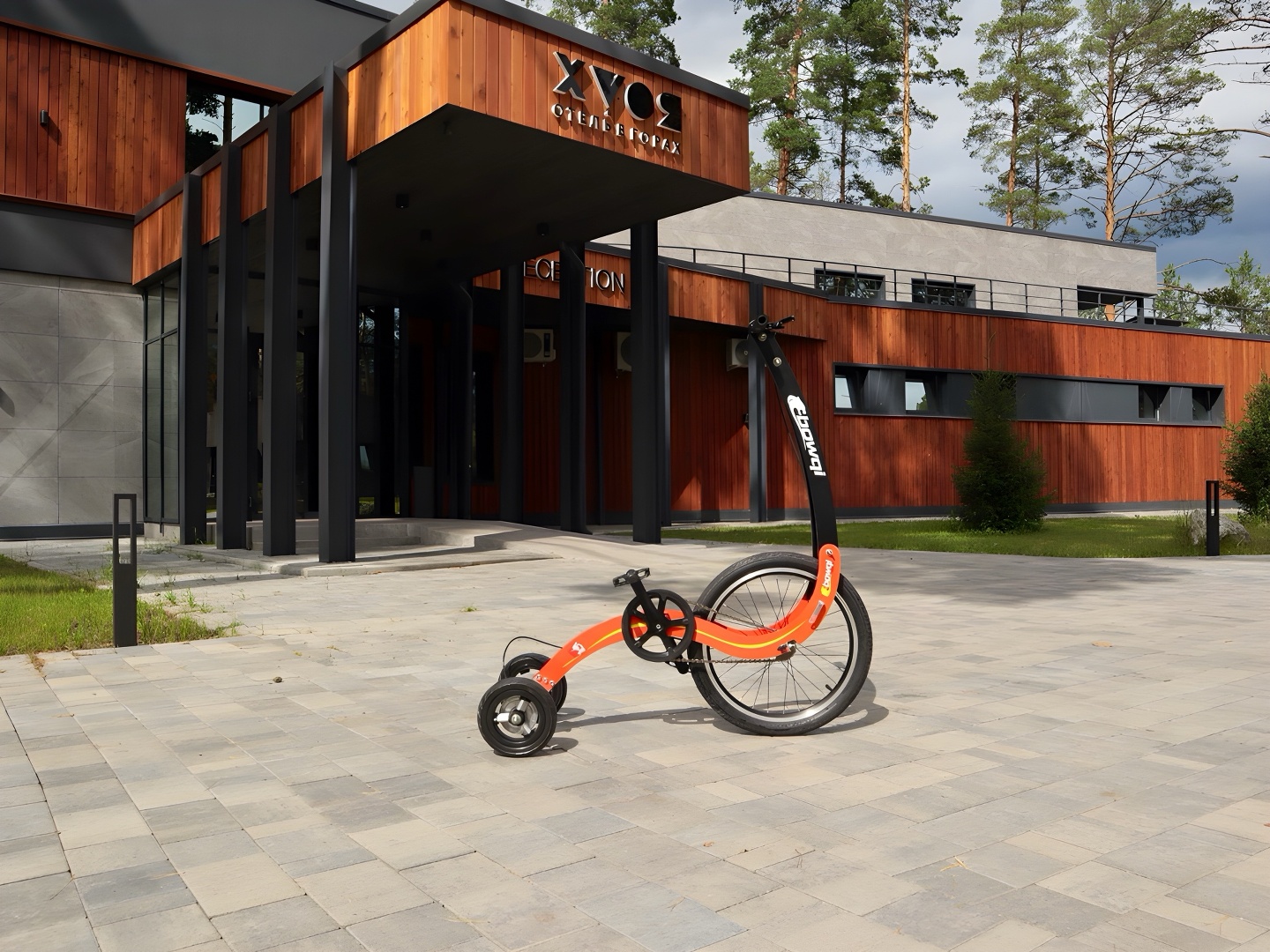 Хвоя в горах - фото 23