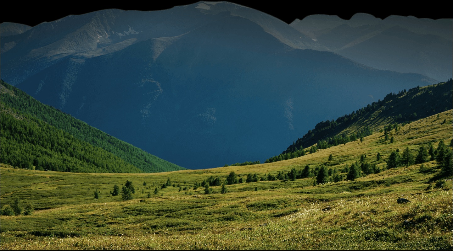 Хвоя в горах - фото 25