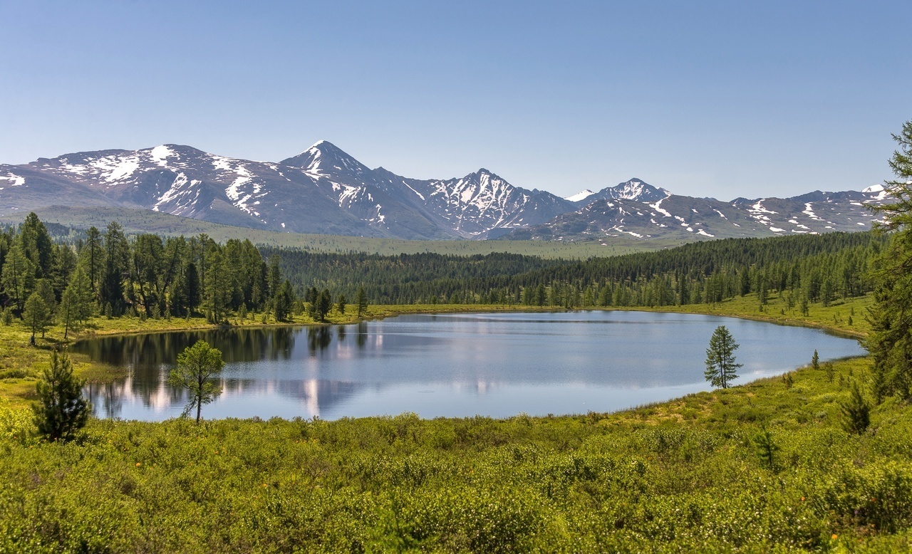 Хвоя в горах - фото 26