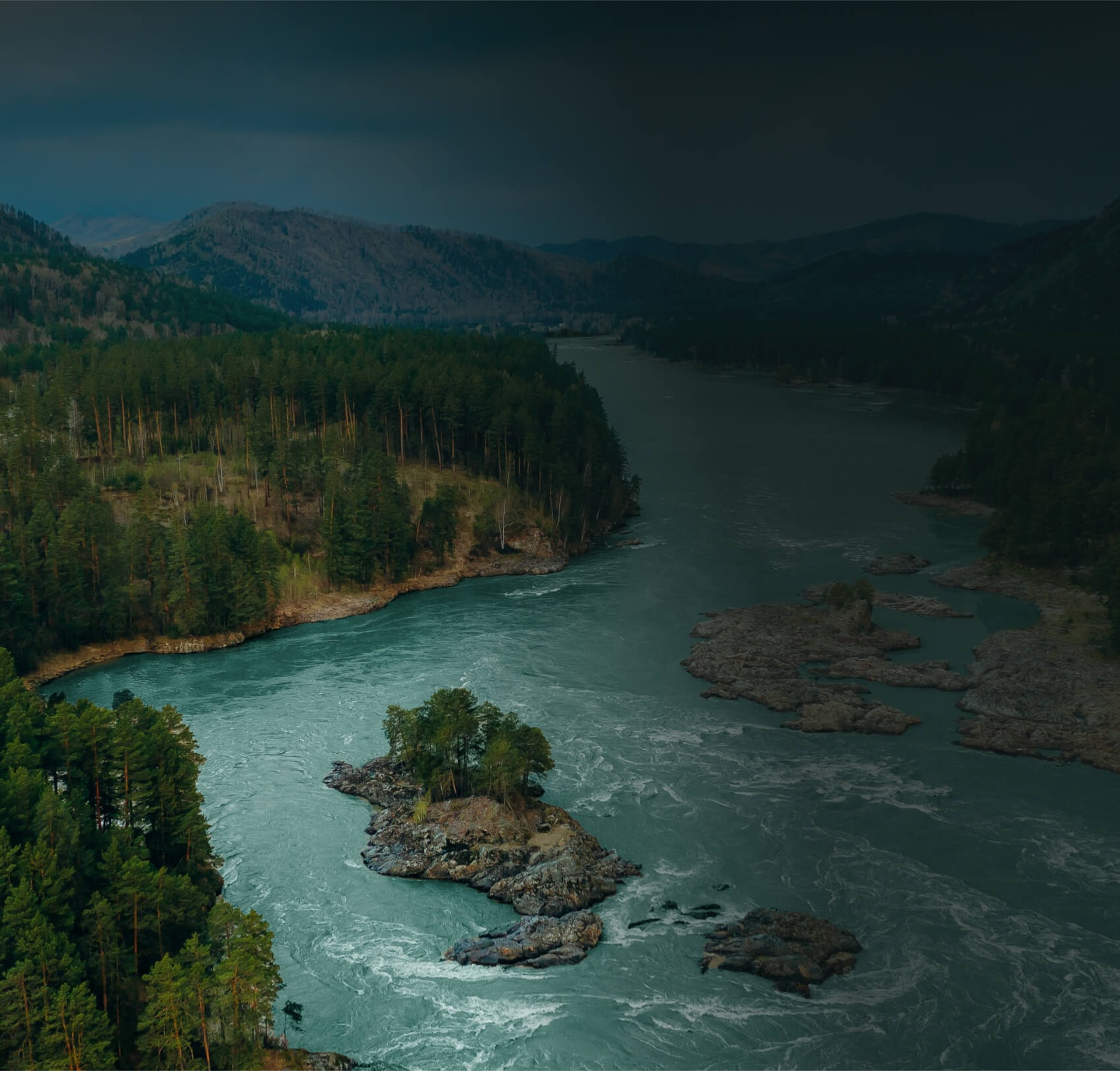 Хвоя в горах - фото 35