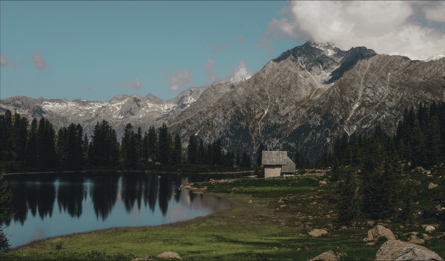 Хвоя в горах - фото 40