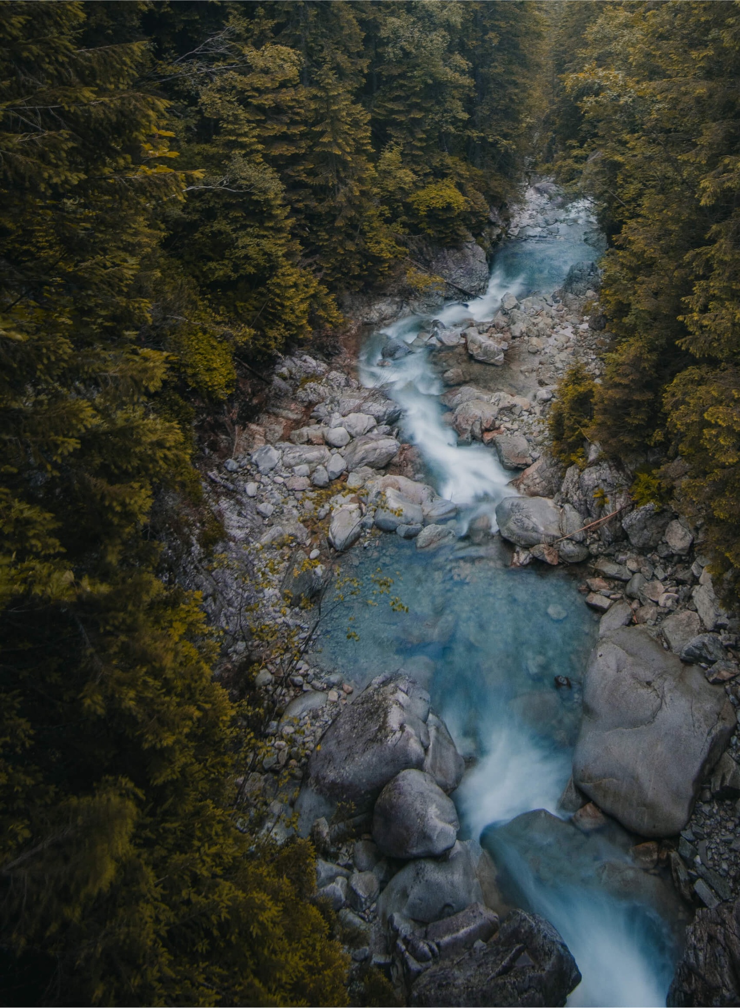 Хвоя в горах - фото 43