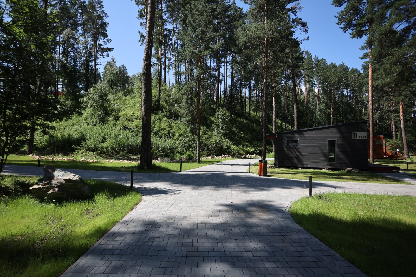 Хвоя в горах - фото 45