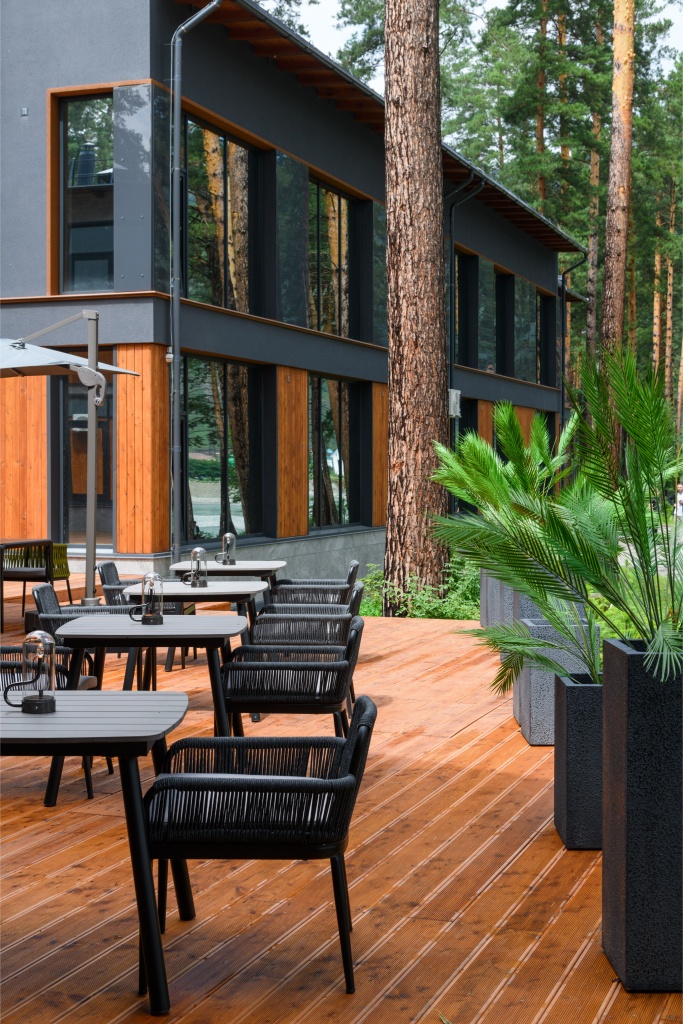 Хвоя в горах - фото 49