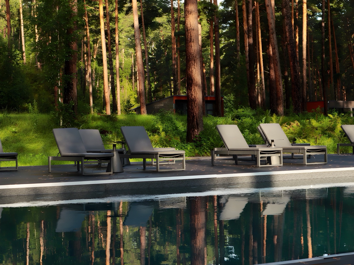 Хвоя в горах - фото 51