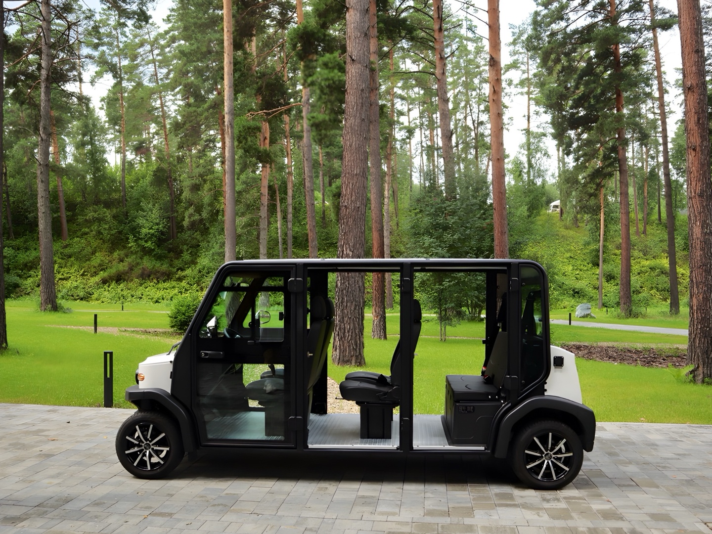 Хвоя в горах - фото 54