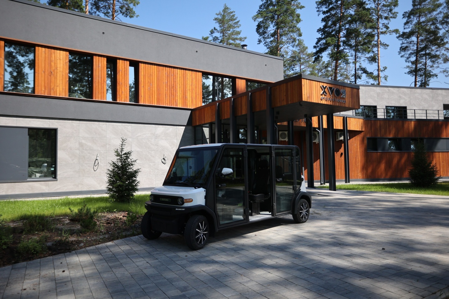 Хвоя в горах - фото 66