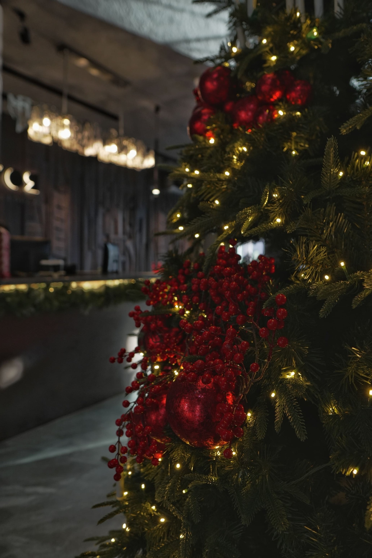 Хвоя в горах - фото 67