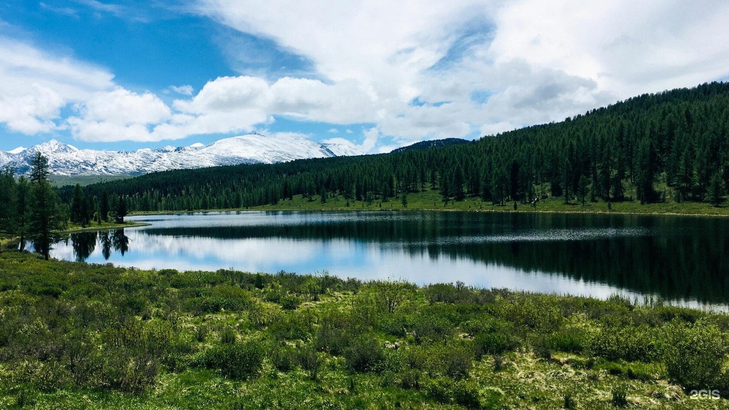 Красные ворота - фото 33