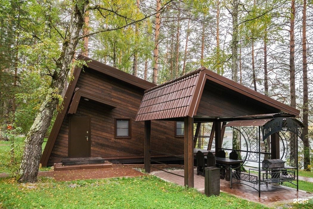 Шишка - фото 14