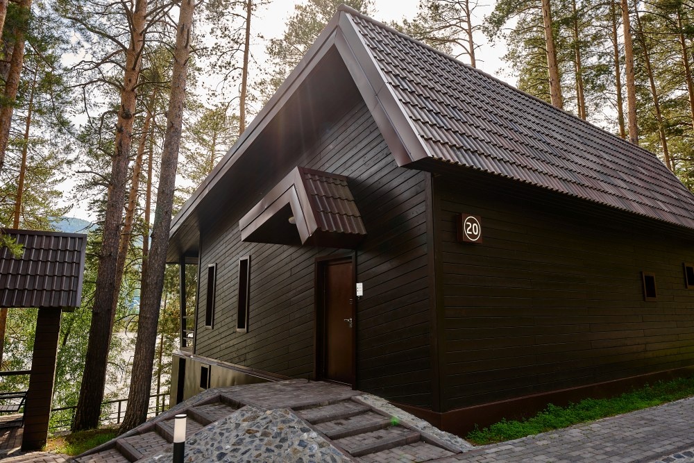 Шишка - фото 21