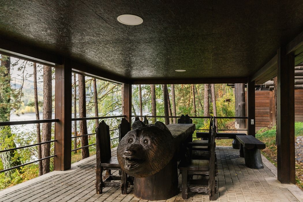 Шишка - фото 26