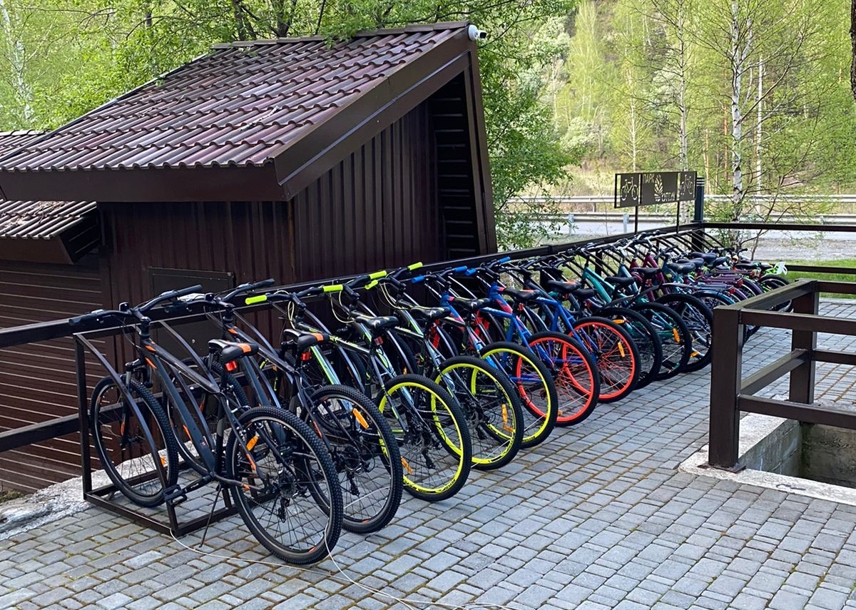 Шишка - фото 27