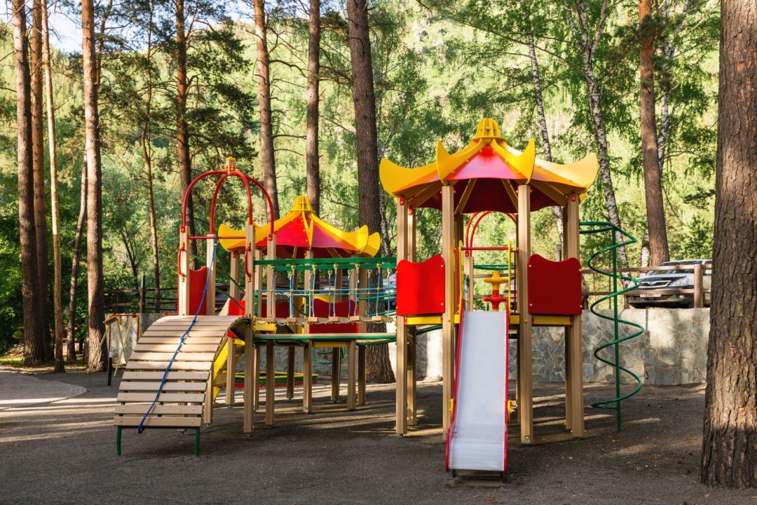 Шишка - фото 28