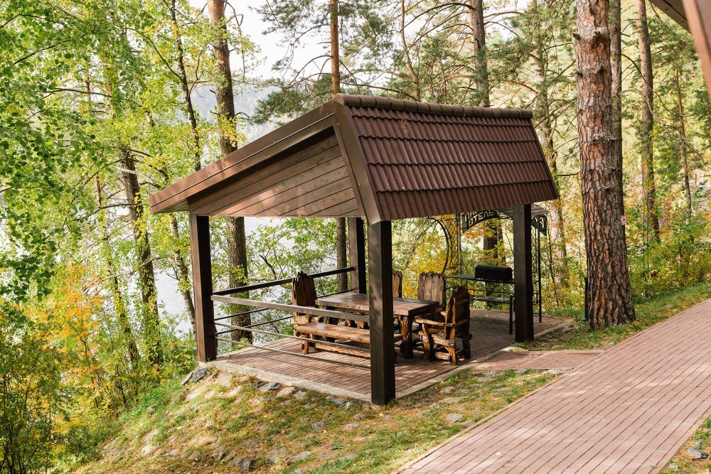 Шишка - фото 29