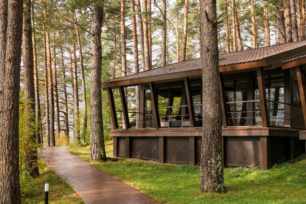 Шишка - фото 34