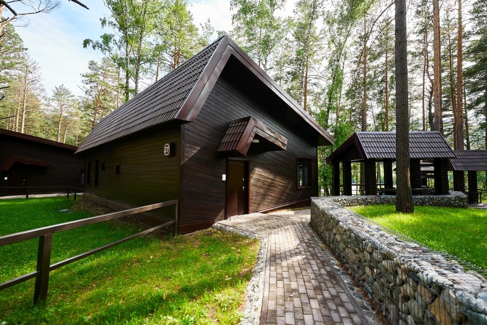 Шишка - фото 35