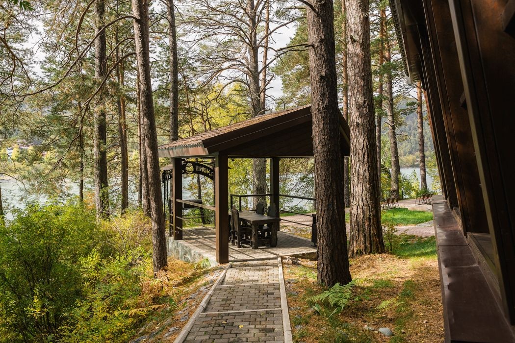 Шишка - фото 36