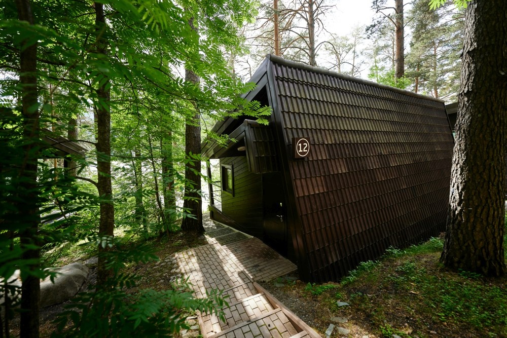 Шишка - фото 38