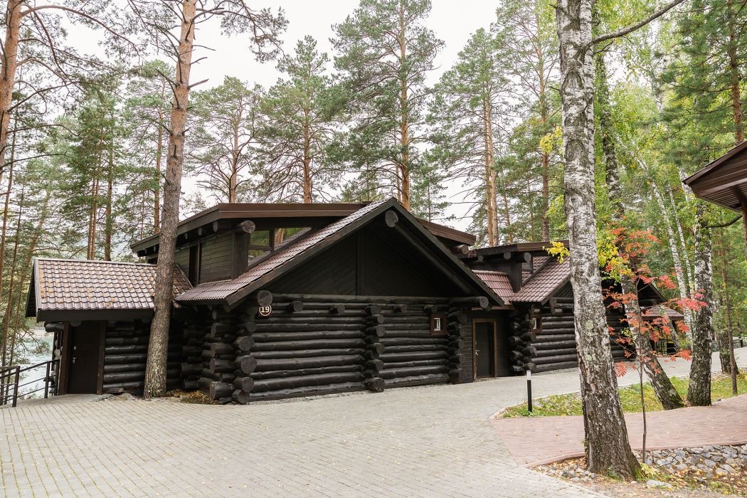 Шишка - фото 39