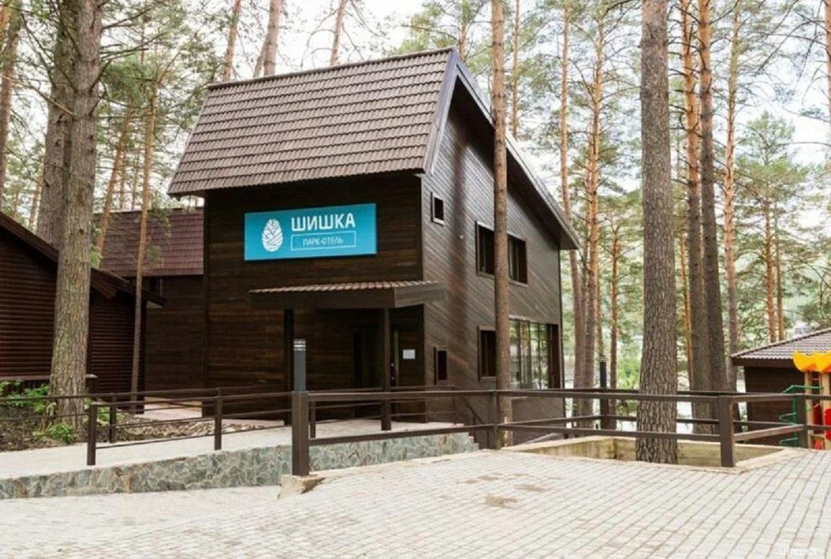 Шишка - фото 40