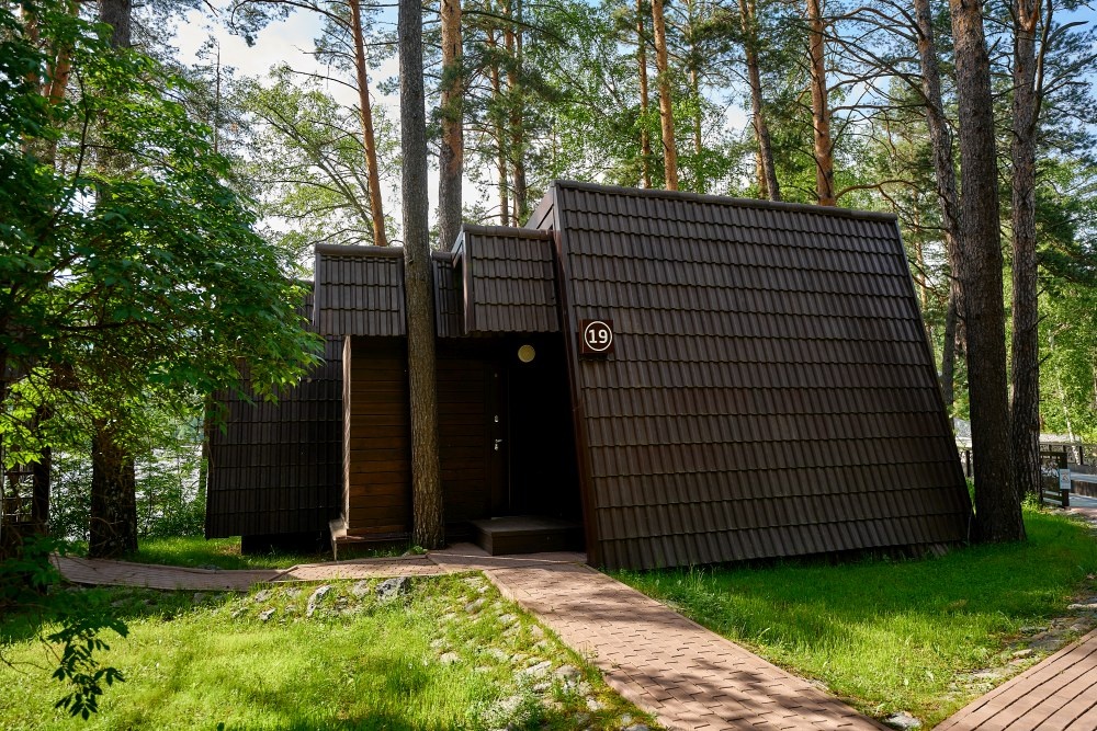 Шишка - фото 43