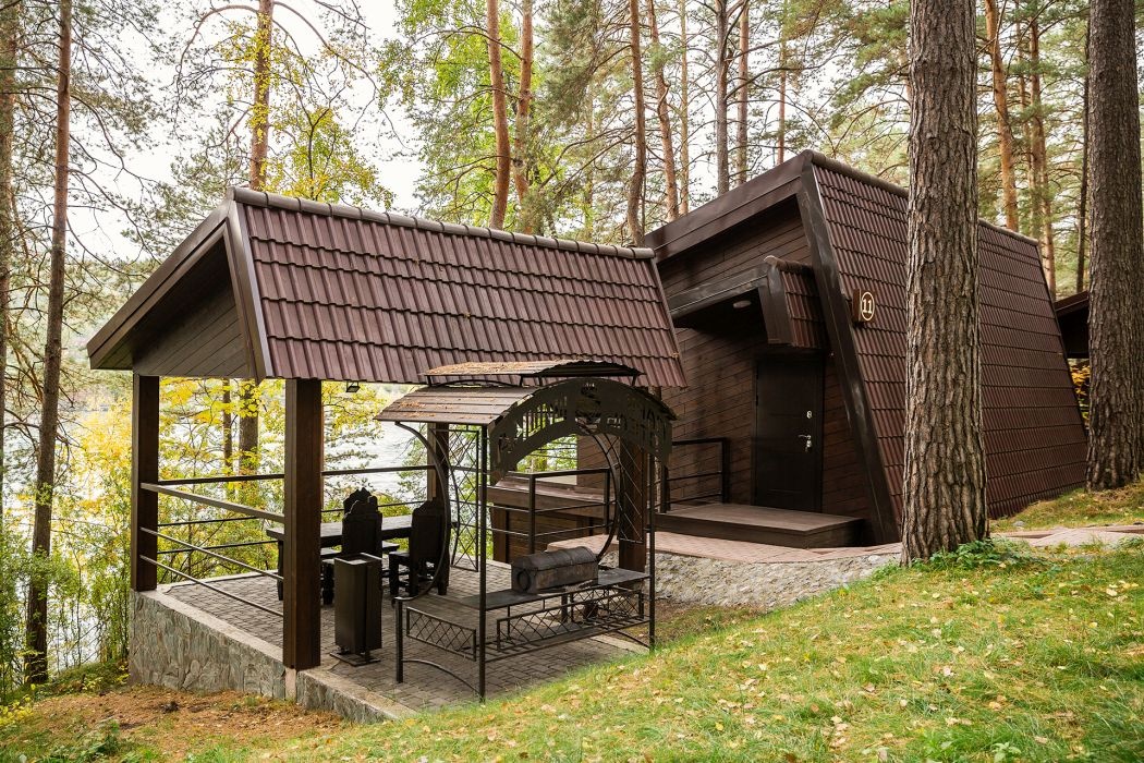 Шишка - фото 46