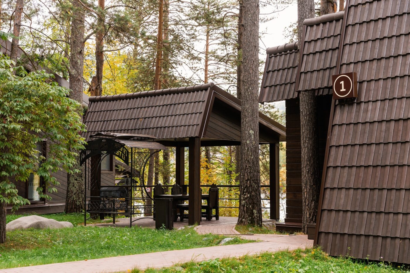 Шишка - фото 47