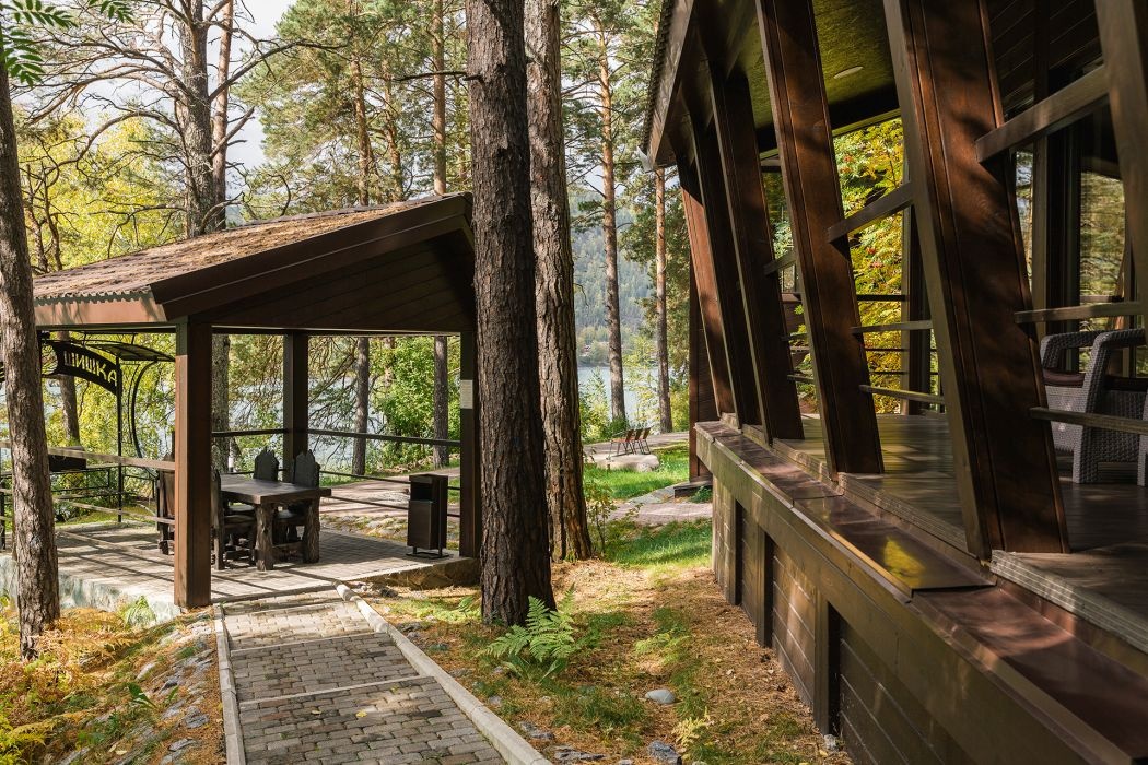 Шишка - фото 51