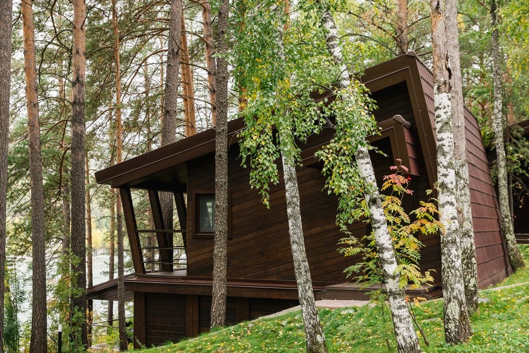 Шишка - фото 53