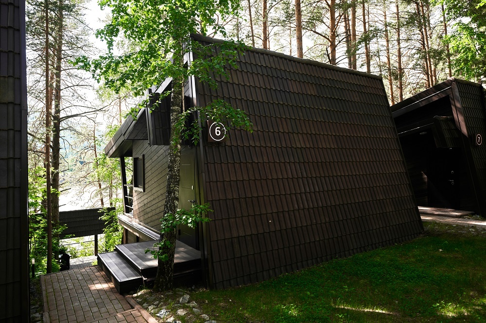 Шишка - фото 55