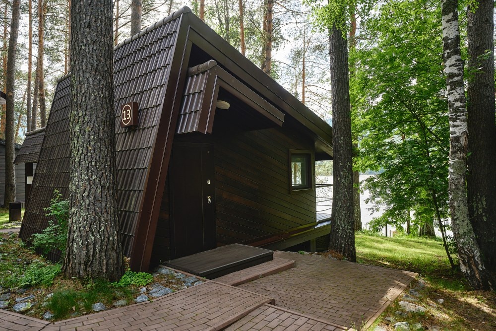 Шишка - фото 62