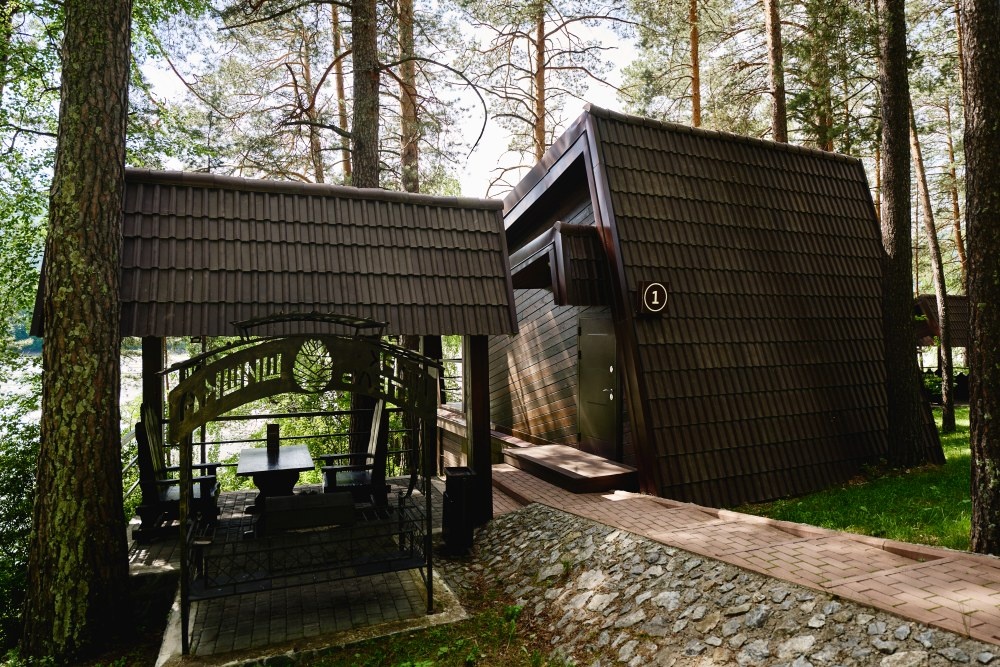 Шишка - фото 63