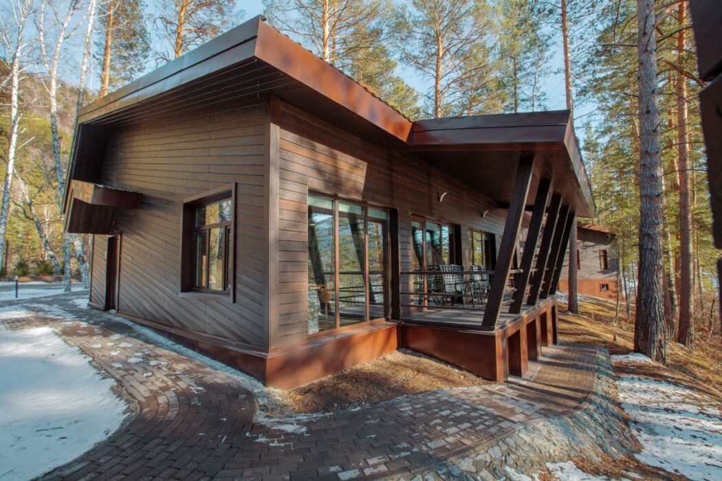 Шишка - фото 68