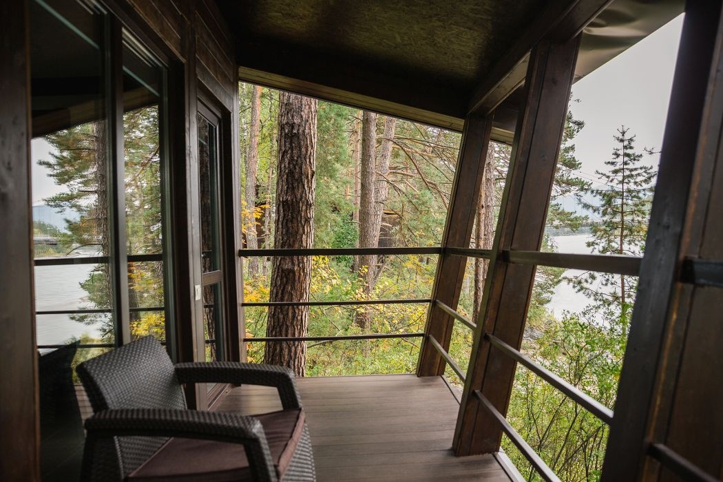 Шишка - фото 69