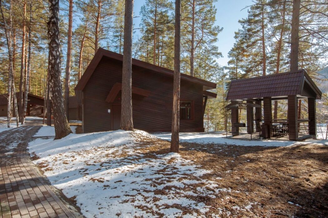 Шишка - фото 72