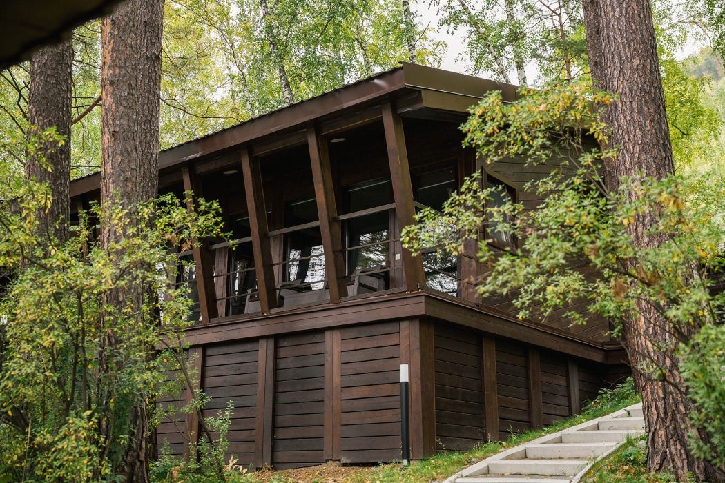 Шишка - фото 80