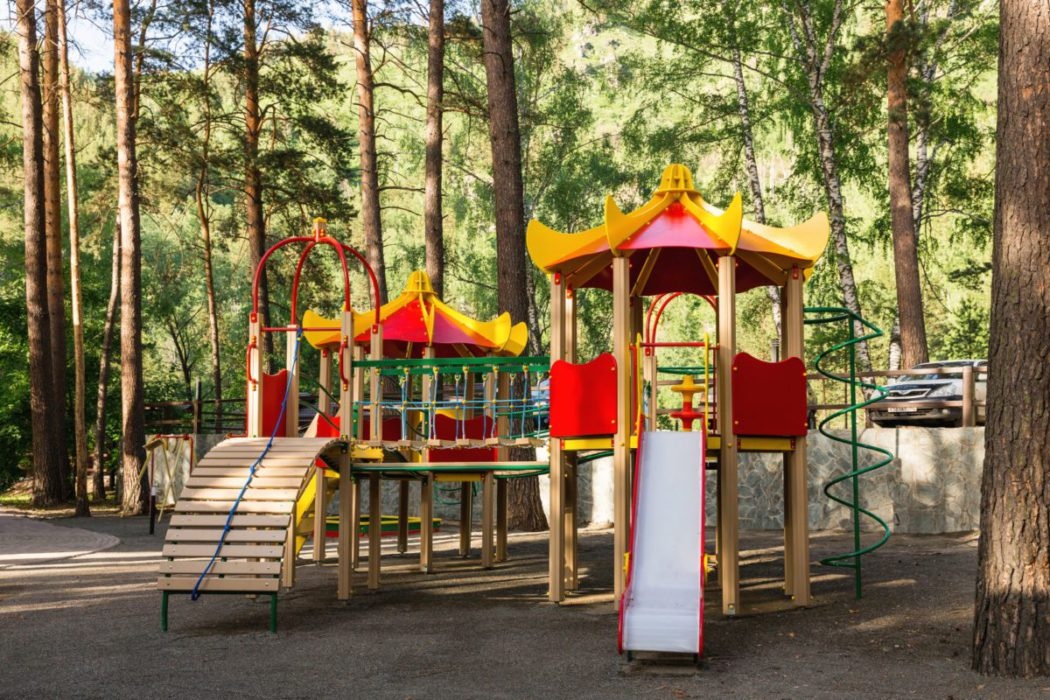 Шишка - фото 89