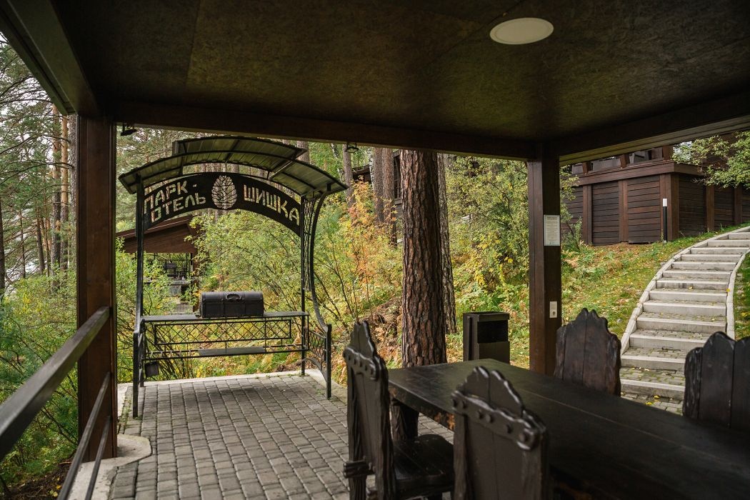 Шишка - фото 91